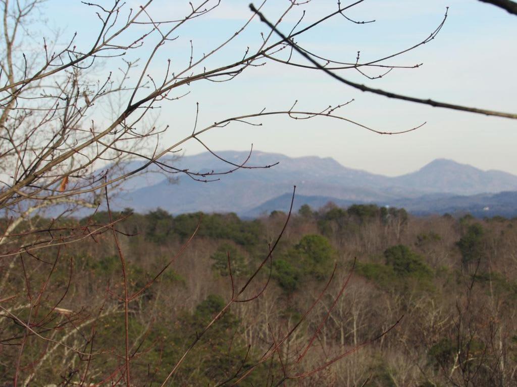 View! Cozy, Private, Fireplace, Hot Tub Log Cabin, Honeymoon! Sevierville Εξωτερικό φωτογραφία