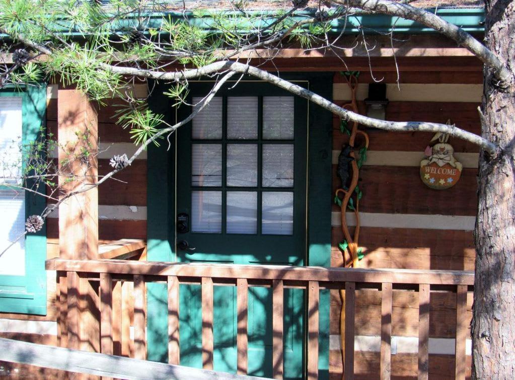 View! Cozy, Private, Fireplace, Hot Tub Log Cabin, Honeymoon! Sevierville Εξωτερικό φωτογραφία
